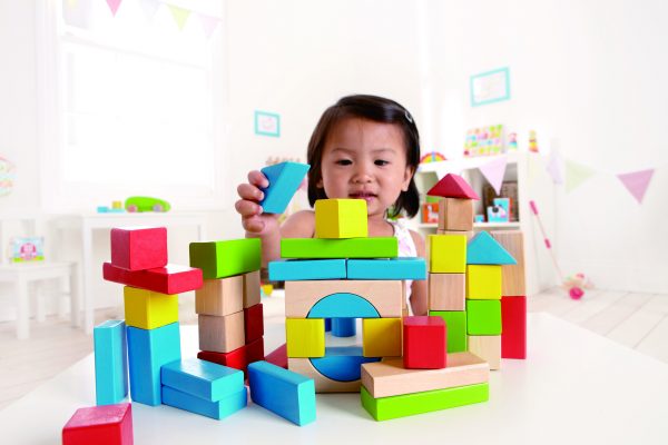 blokken 50 stuks - blokken - bouwen - speelgoed - hout - houten speelgoed - dn houten tol - de mouthoeve - boekel - winkel - hape - baby - peuter - kleuter