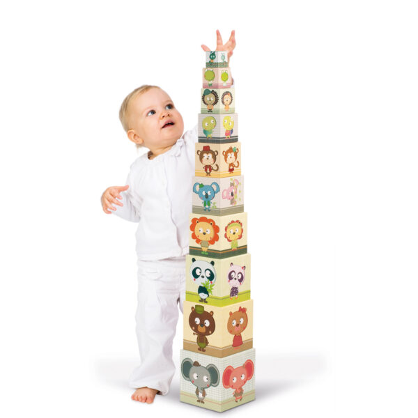 blokken - stapeltoren magische boom - stapeltoren - karton - kartonnen stapeltoren - speelgoed - educatief speelgoed - houten speelgoed - baby speelgoed - dn houten tol - de mouthoeve - boekel - shop - webshop - janod - vierkante stapelblokken - familie portretten