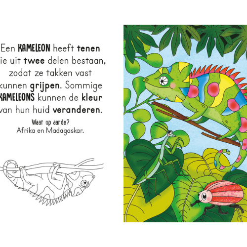 wilde dieren - schilderen - kleurboek -schilderen voor kinderen - Magisch waterkleurboek - kijk en voel - zoekplaatjes - baby - peuter - kleuter - doos - cadeau box - kinderboek - lantaarn - bosdieren - boerderijvriendjes - kijk en voel - boerderij - junlevriendjes - bos - zoeken - lezen - leesboek - educatief - cadeautje - kado - leerzaam - speurenboek - dn houten tol - speelgoedwinkel - webshop - online shoppen - vanaf 3 jaar - de mouthoeve - boekel - webshop - kiekeboe boek - dieren